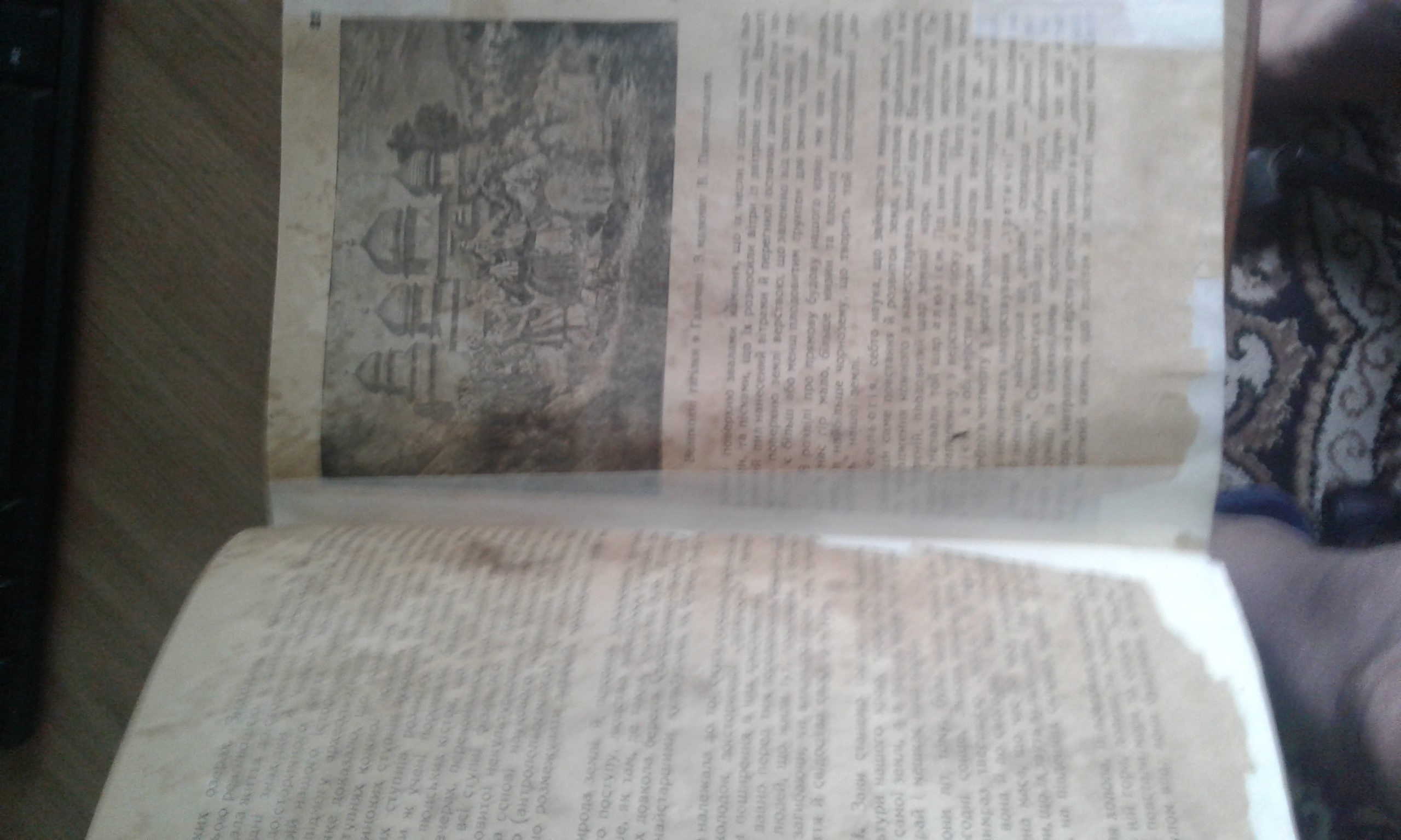 500 гр. bvb19@ukr.net